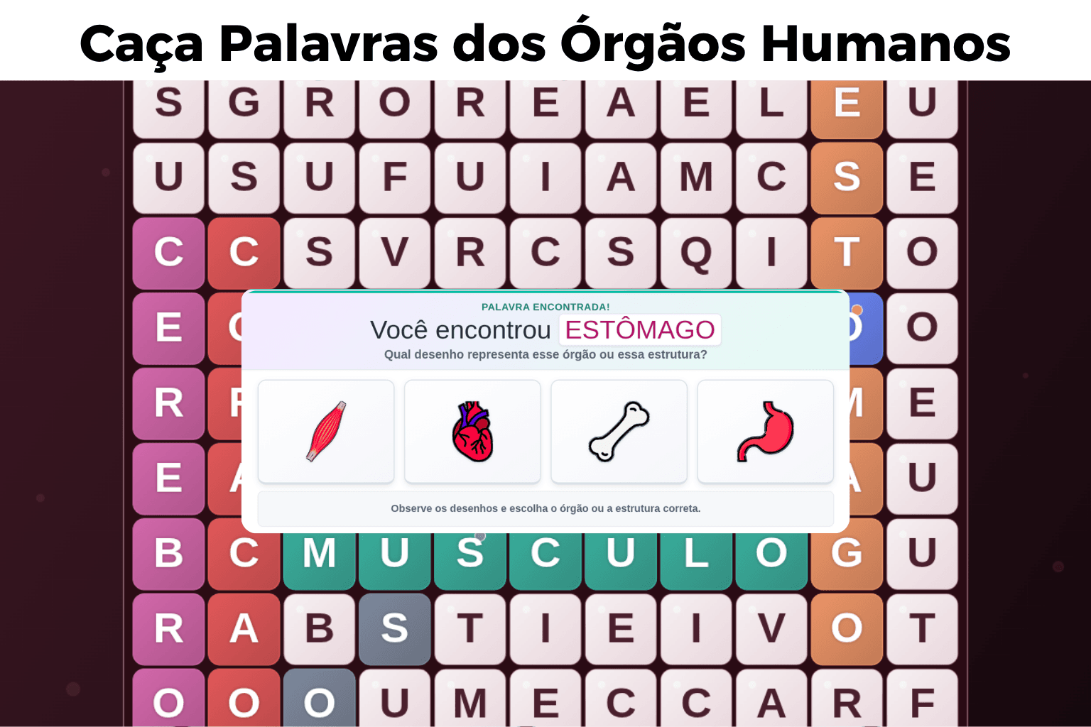 Caça Palavras dos Órgãos Humanos